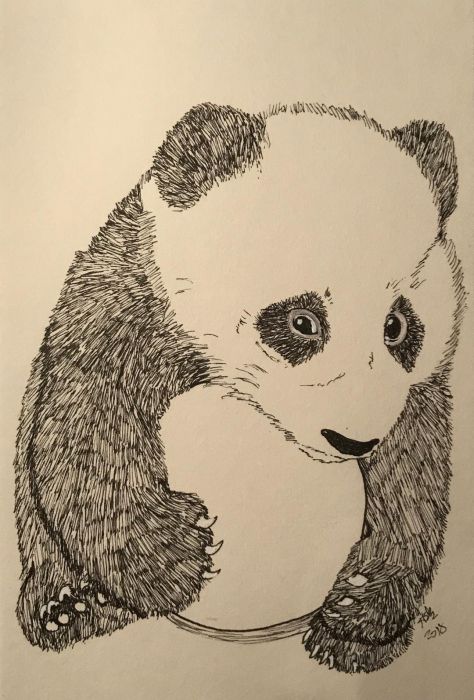 Baby Panda by Heather Kilgore